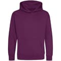 Miniatyrbild 1 av 2: Awdis Hoodie för barn/barn