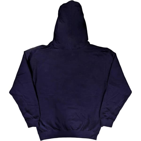 Aerosmith Unisex vuxen Boston Pride Hoodie för vuxna