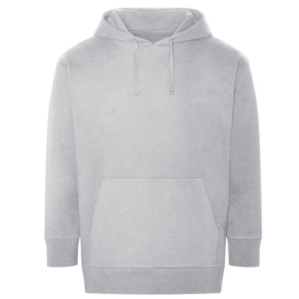 Ecologie Unisex Adult Crater Recycled Hoodie