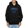 Pikkukuva 5 / 5: Harry Potter Boys Ravenclaw Cotton Hoodie