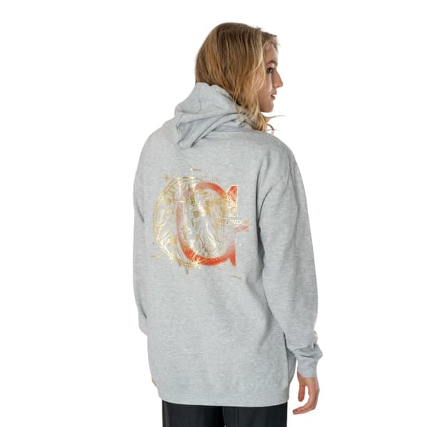 Harry Potter Unisex Adult Gryffindor Zodiac Hoodie