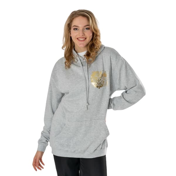 Harry Potter Unisex Adult Gryffindor Zodiac Hoodie Grey Marl XXL
