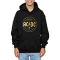 Miniatyrbillede 3 af 5: AC/DC Boys Rock N Roll Damnation Hoodie