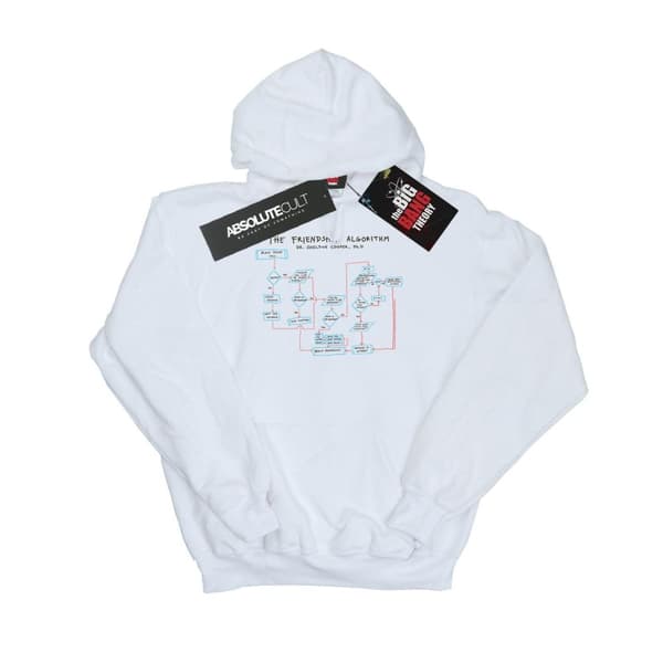 The Big Bang Theory Womens/Ladies Friendship Algorithm Hoodie