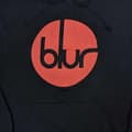 Miniatyrbilde 2 av 2: Blur Unisex Adult Circle Logo Hoodie