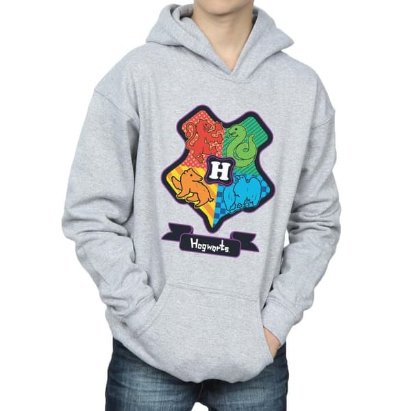 Harry Potter Boys Hogwarts Junior Crest Hoodie