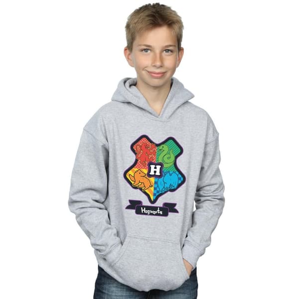 Harry Potter Boys Hogwarts Junior Crest Hoodie