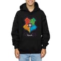 Miniatyrbilde 3 av 5: Harry Potter Boys Hogwarts Junior Crest Hoodie