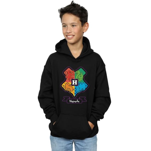 Harry Potter Boys Hogwarts Junior Crest Hoodie