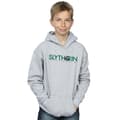 Miniatyrbillede 2 af 5: Harry Potter Boys Slytherin Text Hoodie