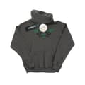 Miniatyrbilde 1 av 3: Harry Potter Womens/Ladies Slytherin Captain Hoodie