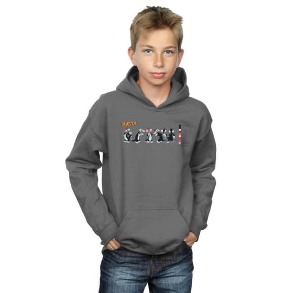 Looney Tunes Sylvester Colour Code-hoodie för pojkar