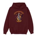 Miniatyrbillede 1 af 4: Harry Potter Girls Gryffindor Crest Hoodie