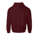 Miniatyrbillede 2 af 4: Harry Potter Girls Gryffindor Crest Hoodie
