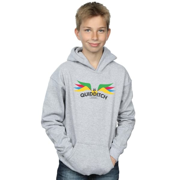 Harry Potter Boys Snitch Wings Pastels Hoodie