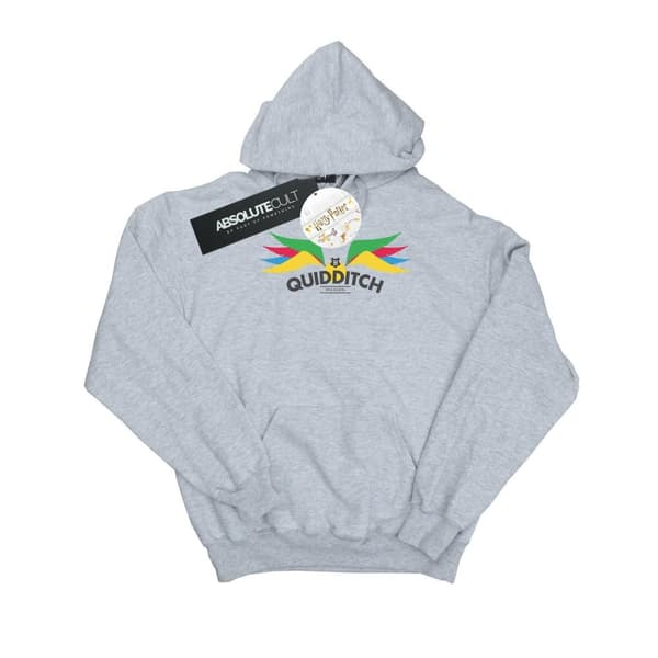 Harry Potter Boys Snitch Wings Pastels Hoodie