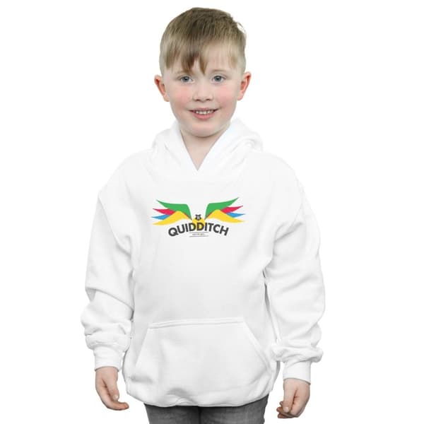 Harry Potter Boys Snitch Wings Pastels Hoodie