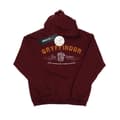 Miniatyrbillede 1 af 3: Harry Potter Boys Gryffindor Team Quidditch Hoodie