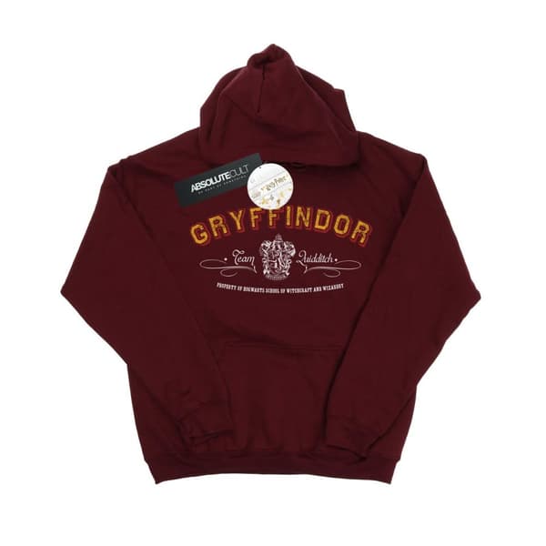 Harry Potter Boys Gryffindor Team Quidditch Hoodie Burgundy 12-13 Years