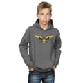 Miniatyrbillede 2 af 3: Harry Potter Boys Hufflepuff Captain Hoodie