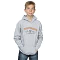 Miniatyrbillede 2 af 5: Harry Potter Boys Gryffindor Team Quidditch Hoodie