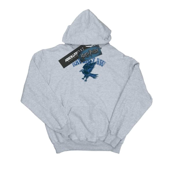 Harry Potter Ravenclaw Sport Emblem-hoodie för flickor