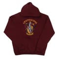 Miniatyrbillede 1 af 4: Harry Potter Boys Gryffindor Crest Hoodie