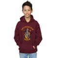 Miniatyrbillede 3 af 4: Harry Potter Boys Gryffindor Crest Hoodie
