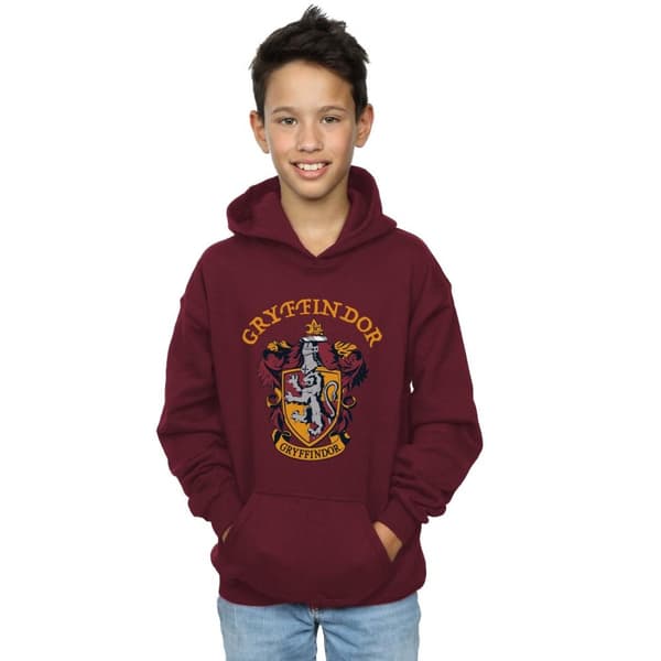Harry Potter Boys Gryffindor Crest Hoodie