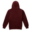 Miniatyrbillede 2 af 4: Harry Potter Boys Gryffindor Crest Hoodie