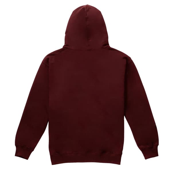 Harry Potter Boys Gryffindor Crest Hoodie