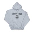 Miniatyrbillede 1 af 3: Harry Potter Girls Hogwarts Crest Hoodie