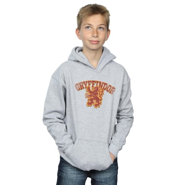 Harry Potter Boys Gryffindor Sport Emblem Hoodie