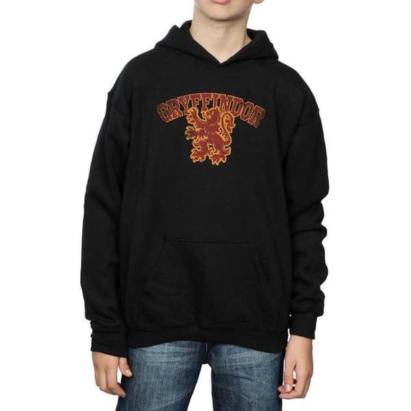 Harry Potter Boys Gryffindor Sport Emblem Hoodie
