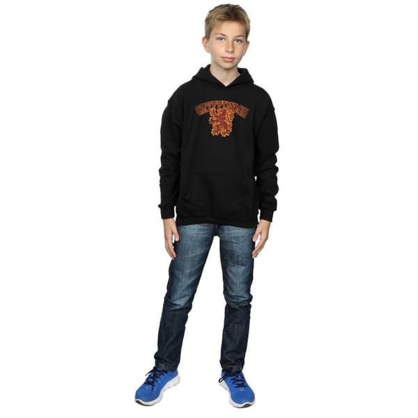Harry Potter Boys Gryffindor Sport Emblem Hoodie
