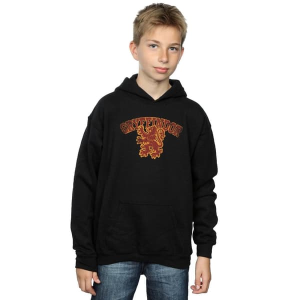 Harry Potter Boys Gryffindor Sport Emblem Hoodie
