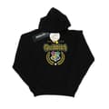 Miniatyrbillede 1 af 3: Harry Potter Girls Quidditch Crest Hoodie
