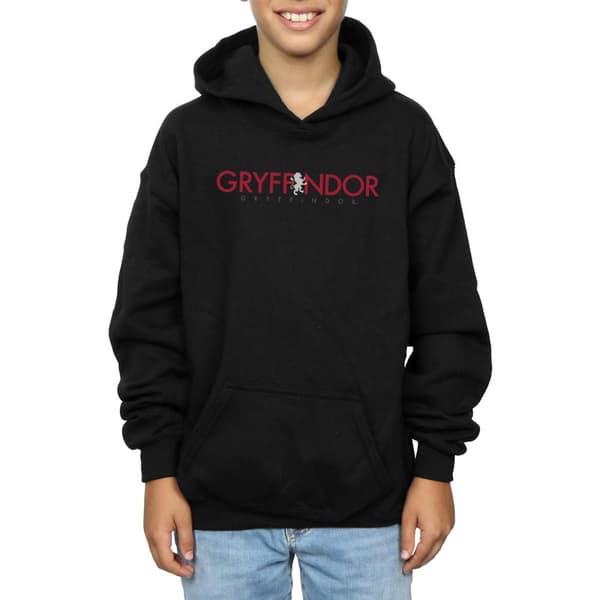 Harry Potter Boys Gryffindor Text Hoodie