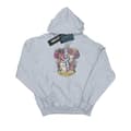 Miniatyrbilde 1 av 5: Harry Potter Girls Gryffindor Distressed Crest Hoodie