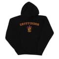 Miniatyrbilde 1 av 4: Harry Potter Boys Gryffindor Crest Hoodie