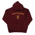 Miniatyrbilde 1 av 4: Harry Potter Boys Gryffindor Crest Hoodie