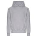 Miniatyrbild 1 av 2: Awdis Unisex vuxen Signature Heather Heavyweight Hoodie