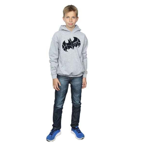 DC Comics Pojkar Batman One Colour Shield Hoodie