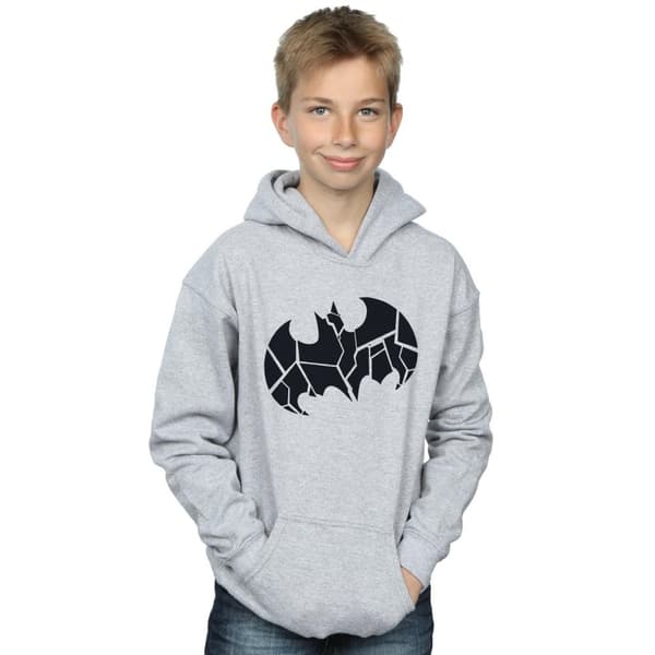 DC Comics Pojkar Batman One Colour Shield Hoodie