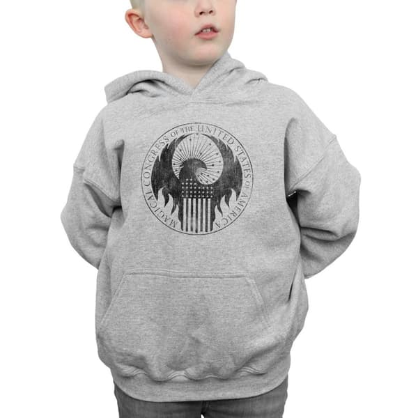Fantastic Beasts Boys Distressed Magical Congress Hoodie
