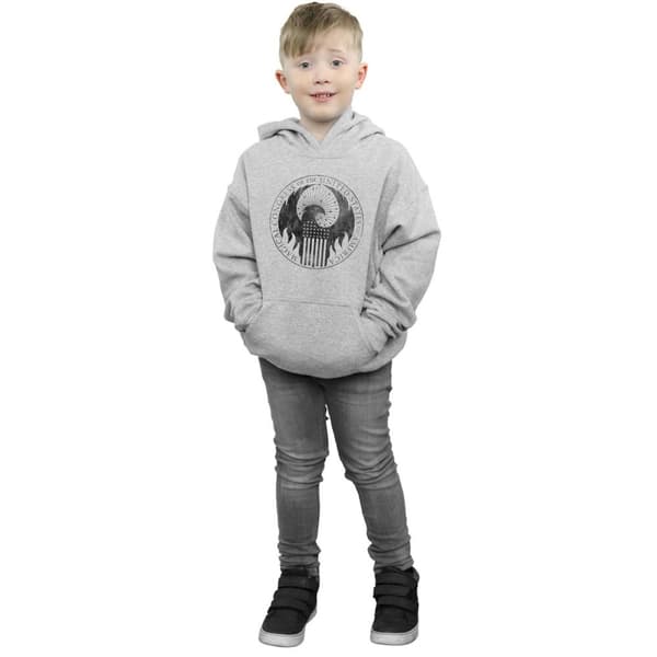 Fantastic Beasts Boys Distressed Magical Congress Hoodie