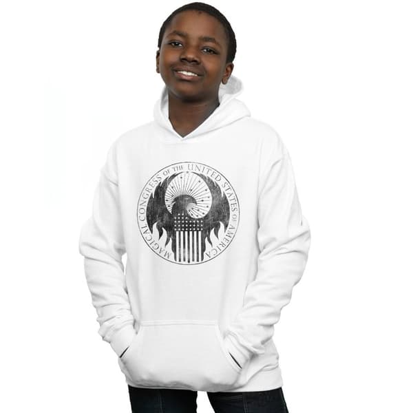 Fantastic Beasts Boys Distressed Magical Congress Hoodie
