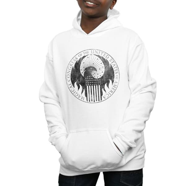 Fantastic Beasts Boys Distressed Magical Congress Hoodie