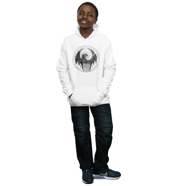 Fantastic Beasts Boys Distressed Magical Congress Hoodie