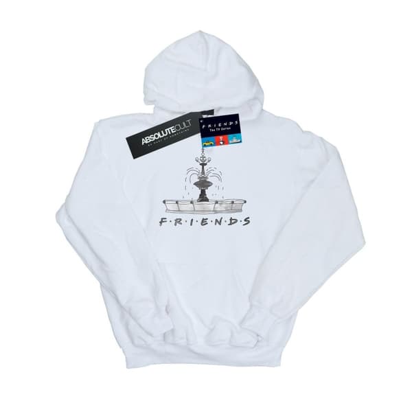 Friends Womens/Ladies Fountain Sketch Hoodie